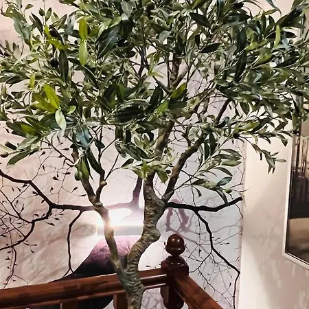 Center Sereo Old Town