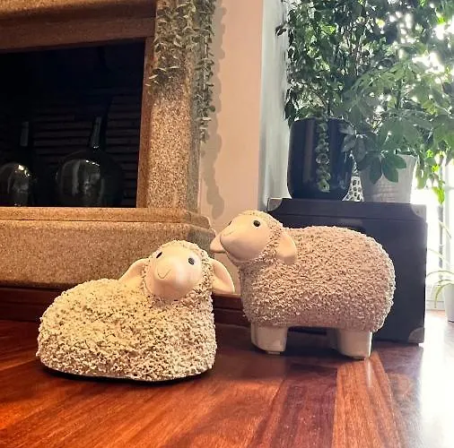 Apartmán Center Sereo Old Town *