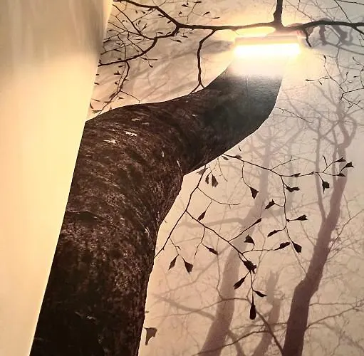 Center Sereo Old Town Apartmán Vigo